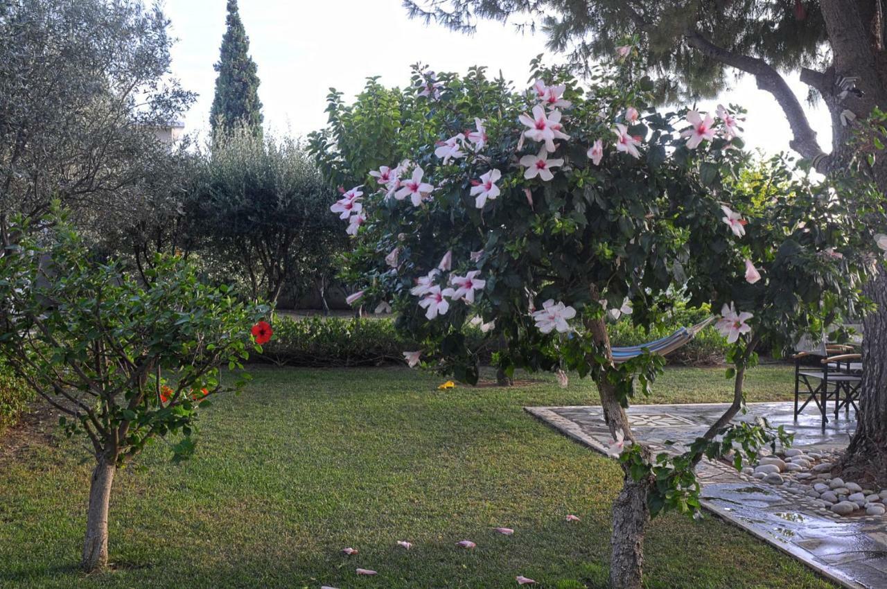 Messinian Blue Seaside Villa Kalamata Exterior foto